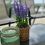 Harmonia Z Darmowym Parkingiem W Garazu *